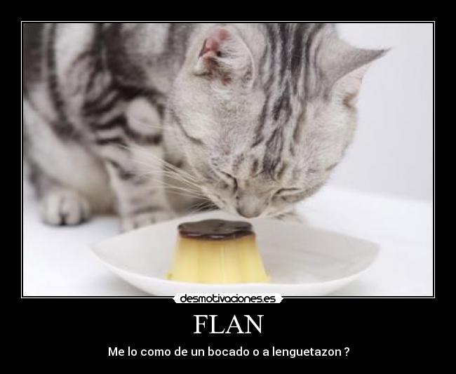 FLAN - 