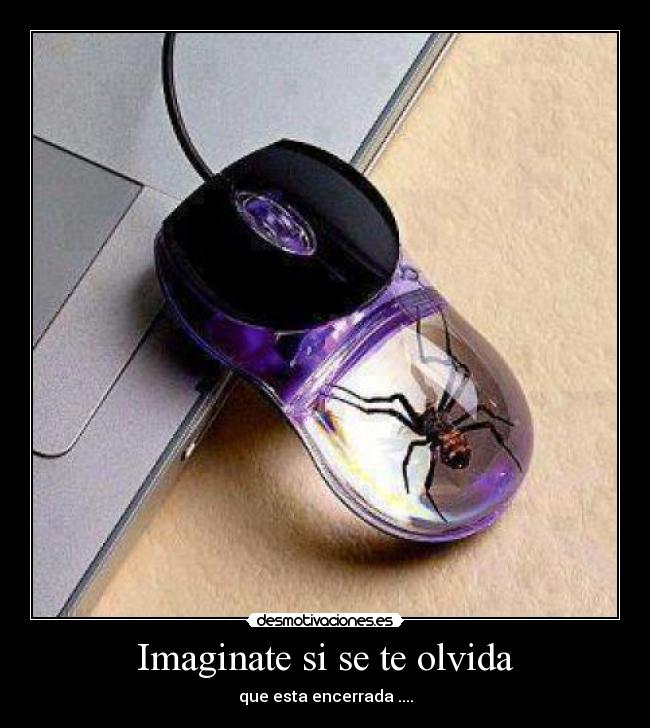 Imaginate si se te olvida - 