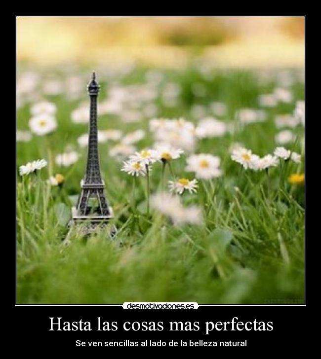 Hasta las cosas mas perfectas -