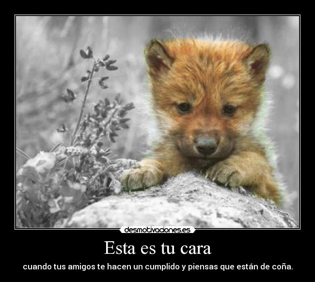 Esta es tu cara - cuando tus amigos te hacen un cumplido y piensas que están de coña.