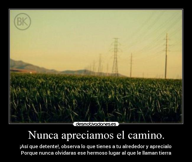 Nunca apreciamos el camino. -