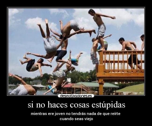 si no haces cosas estúpidas -