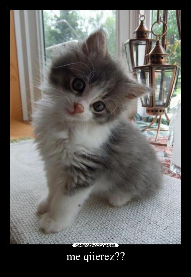 me qiierez?? -