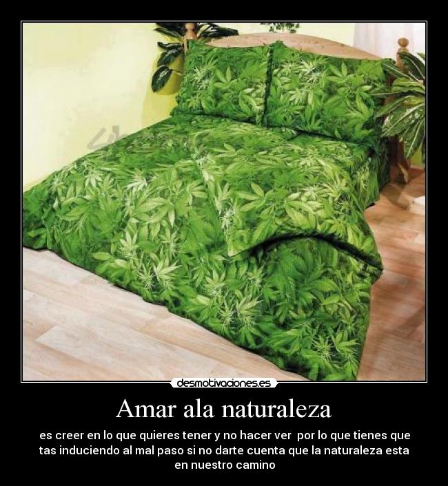 Amar ala naturaleza - es creer en lo que quieres tener y no hacer ver por lo que tienes que
tas induciendo al mal paso si no darte cuenta que la naturaleza esta
en nuestro camino