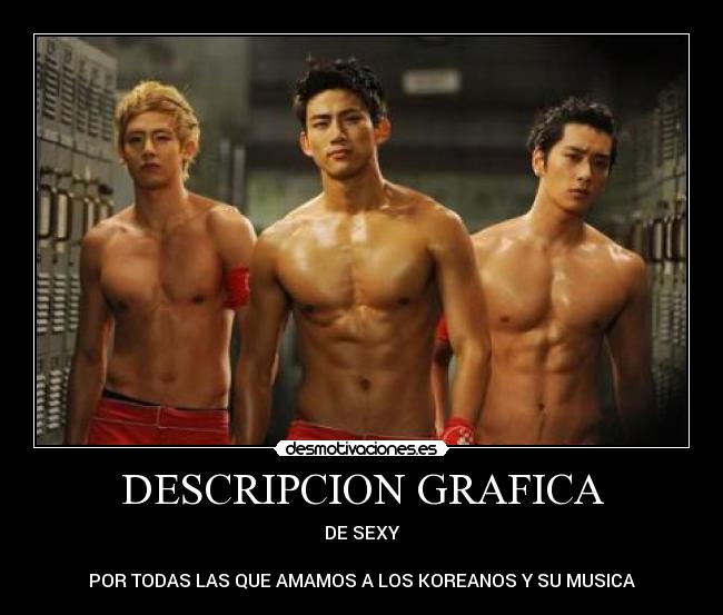 DESCRIPCION GRAFICA - 