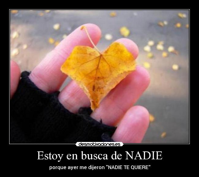 Estoy en busca de NADIE - 