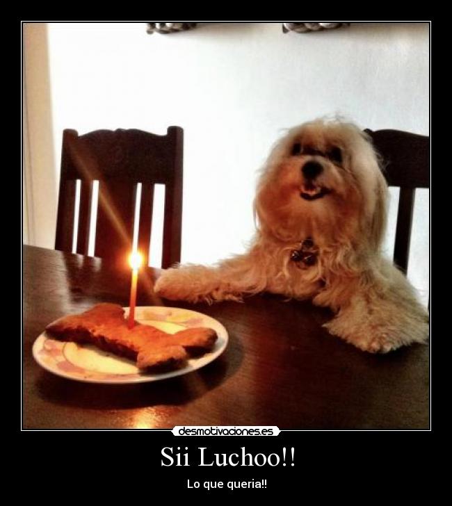 carteles jasjaja desmotivaciones