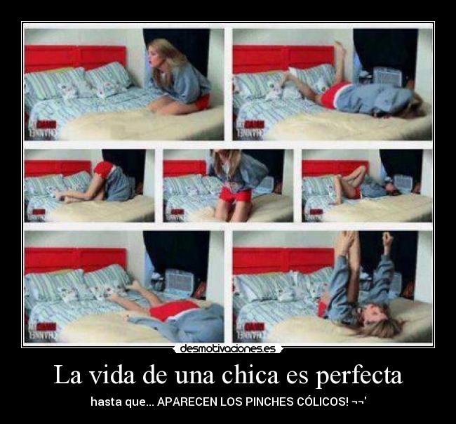 La vida de una chica es perfecta -