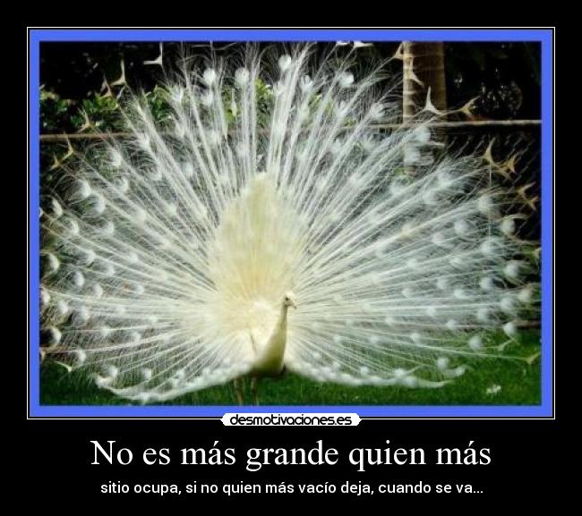 carteles mariposa74 desmotivaciones