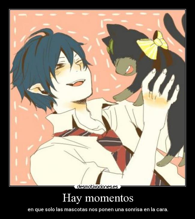 Hay momentos - en que solo las mascotas nos ponen una sonrisa en la cara.