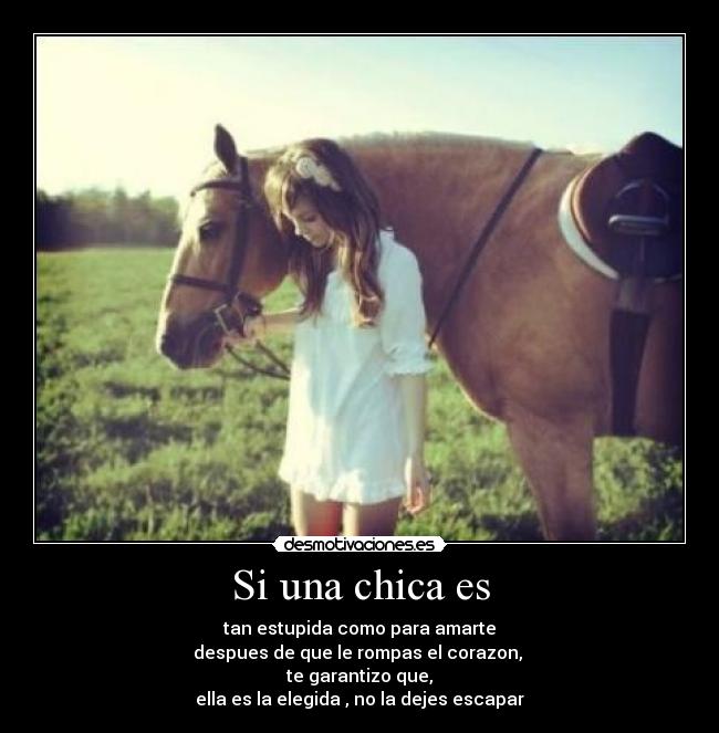 Si una chica es - tan estupida como para amarte
despues de que le rompas el corazon,
te garantizo que,
ella es la elegida , no la dejes escapar