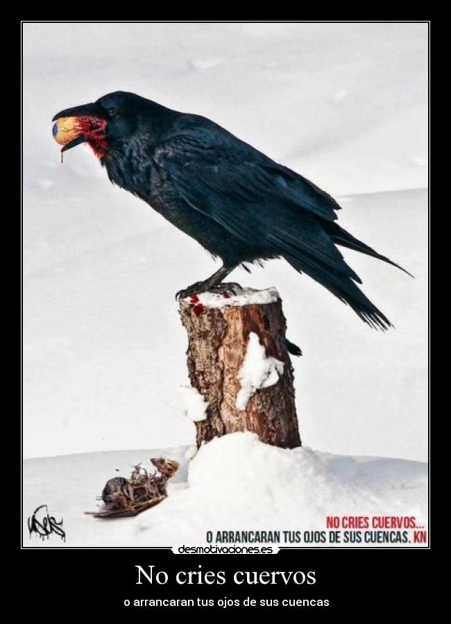 No cries cuervos - o arrancaran tus ojos de sus cuencas