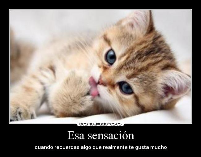 Esa sensación - cuando recuerdas algo que realmente te gusta mucho