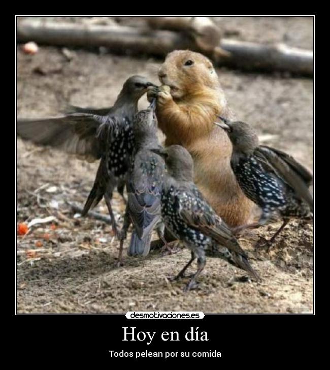 carteles comida rwtg ryb rktlygblj rtblj rbg desmotivaciones