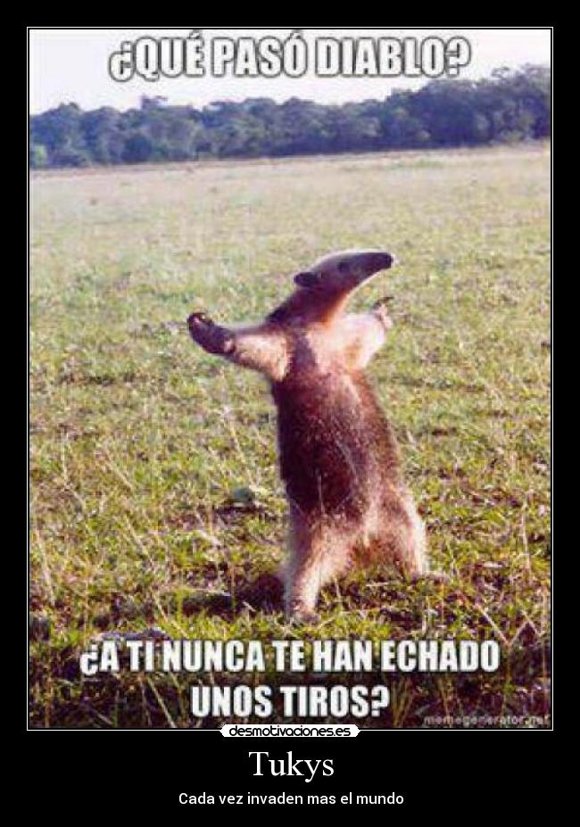 Tukys - Cada vez invaden mas el mundo