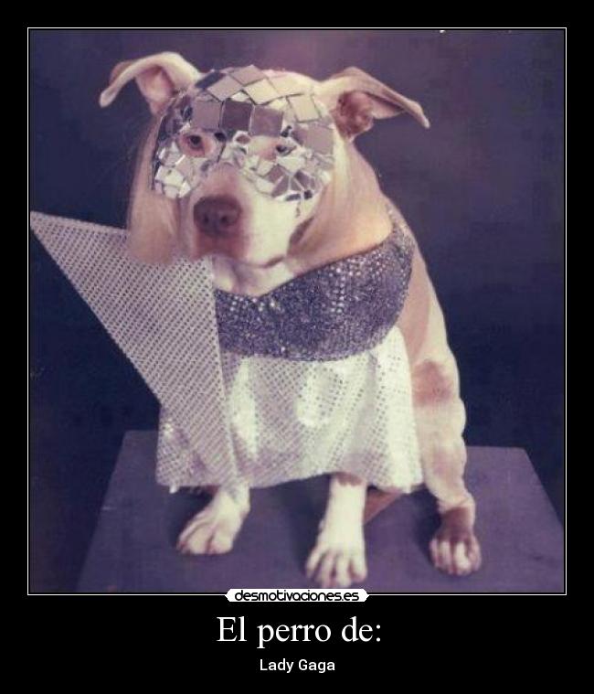 El perro de: - Lady Gaga