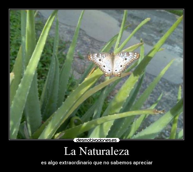 La Naturaleza - 