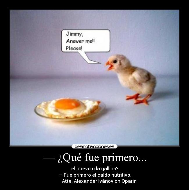 — ¿Qué fue primero... - el huevo o la gallina?
— Fue primero el caldo nutritivo.
        Atte. Alexander Ivánovich Oparin
