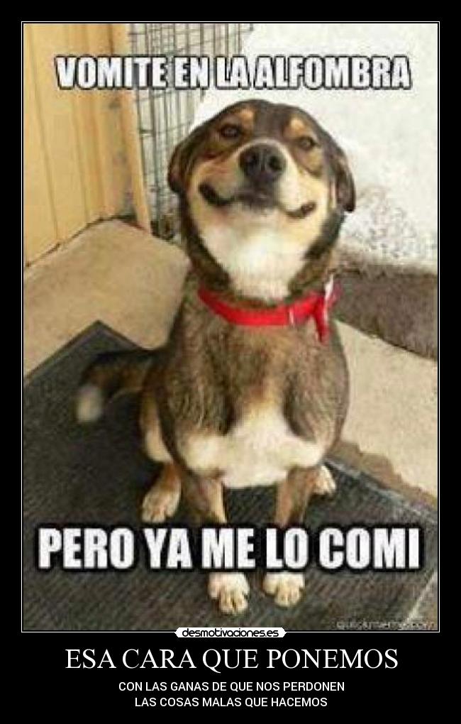 ESA CARA QUE PONEMOS - 