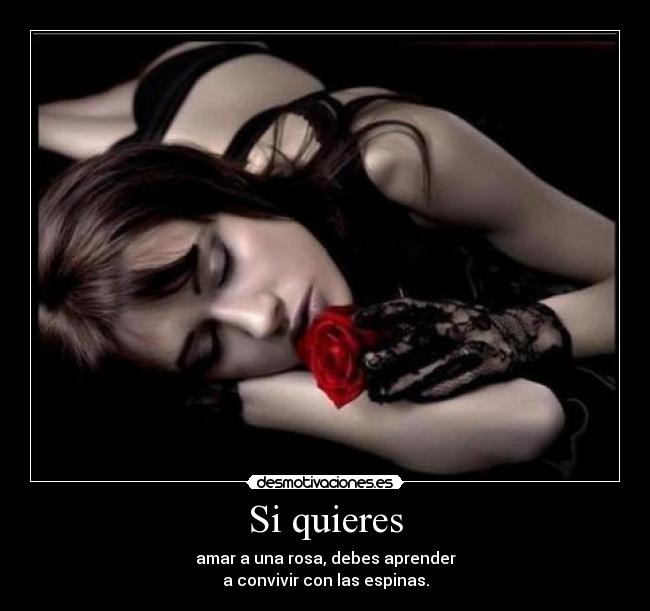 Si quieres - 