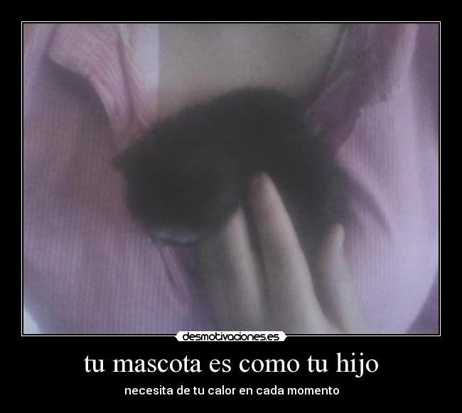 tu mascota es como tu hijo - necesita de tu calor en cada momento