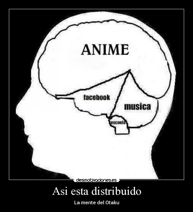 Asi esta distribuido - La mente del Otaku
