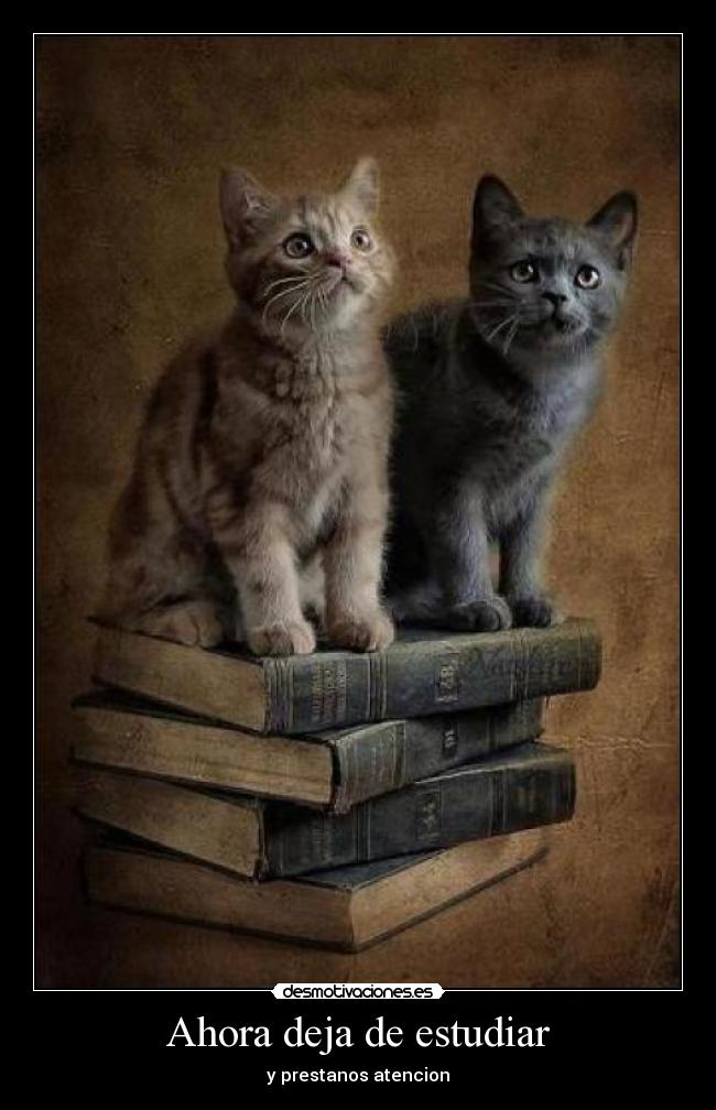 Ahora deja de estudiar -