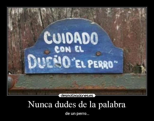 Nunca dudes de la palabra - de un perro...