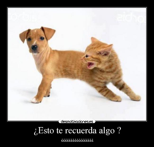 ¿Esto te recuerda algo ? -