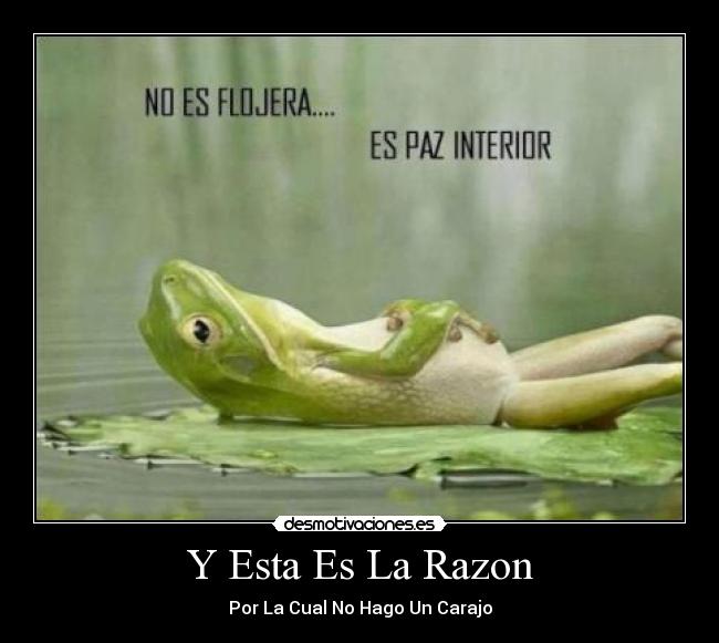 Y Esta Es La Razon - Por La Cual No Hago Un Carajo