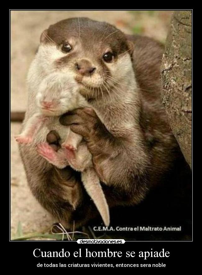 Cuando el hombre se apiade - de todas las criaturas vivientes, entonces sera noble