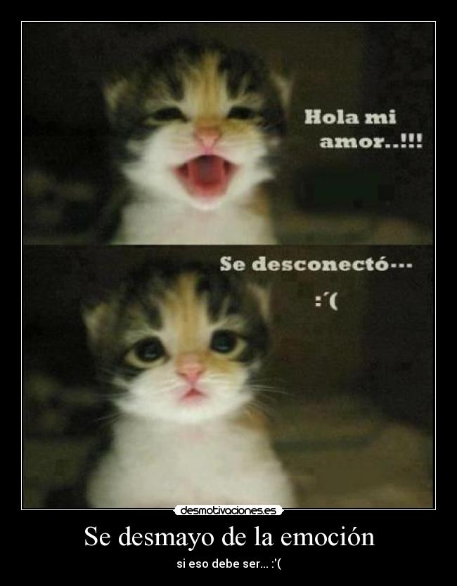 carteles siempre pasa las tengo muertas desmotivaciones