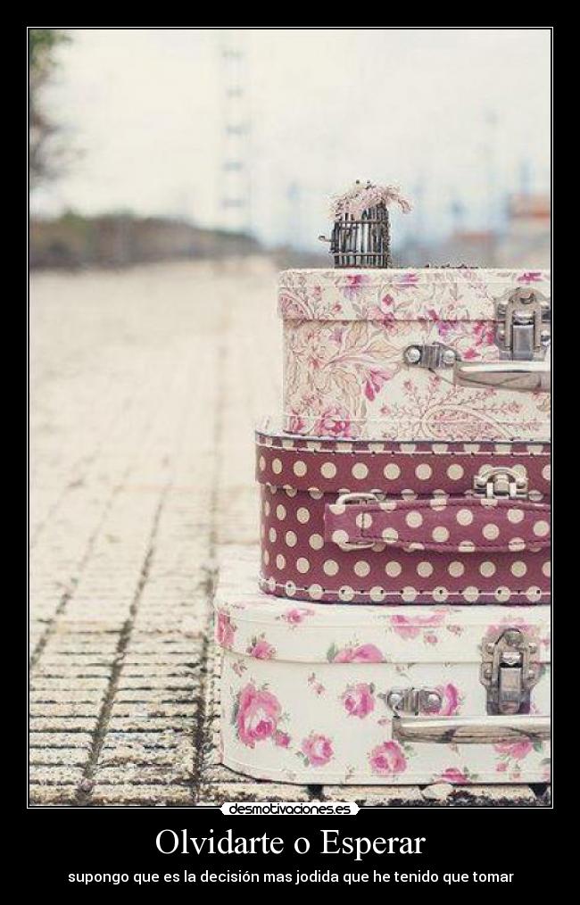 Olvidarte o Esperar - supongo que es la decisión mas jodida que he tenido que tomar