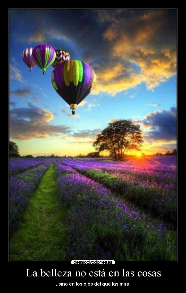 La belleza no está en las cosas - , sino en los ojos del que las mira.
