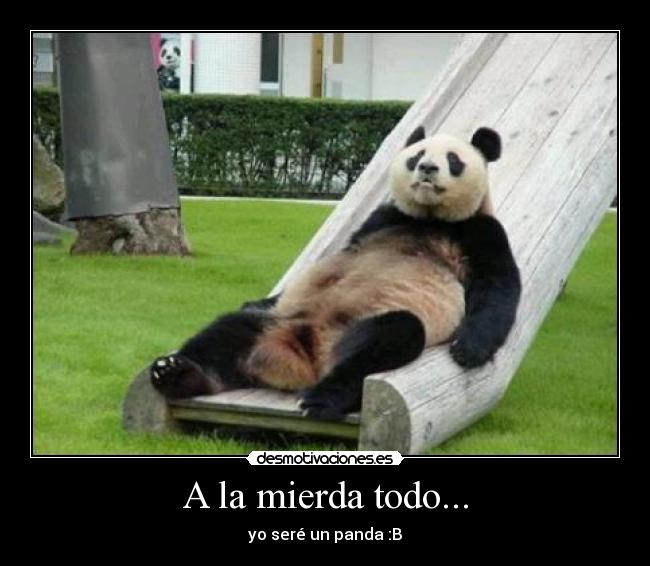 carteles pandas desmotivaciones