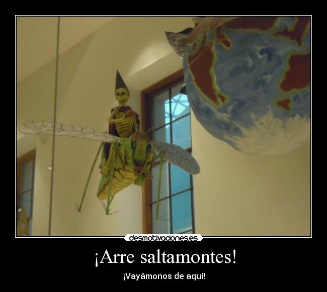 ¡Arre saltamontes! -