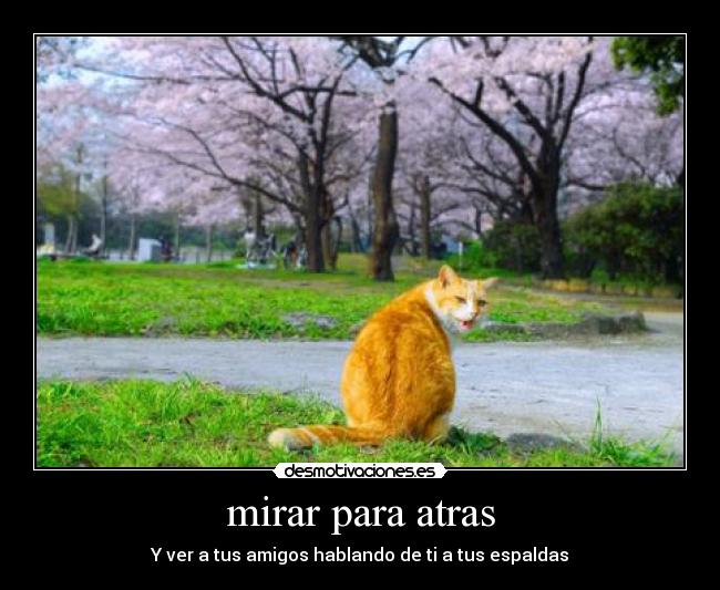 mirar para atras - Y ver a tus amigos hablando de ti a tus espaldas