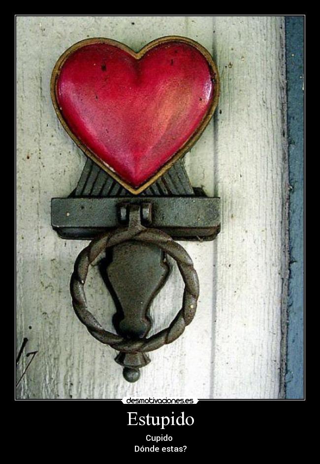 Estupido -