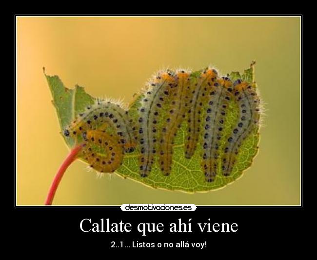 Callate que ahí viene - 2..1... Listos o no allá voy!