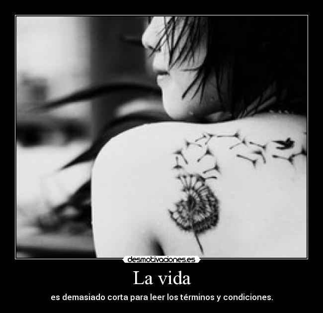 La vida - es demasiado corta para leer los términos y condiciones.