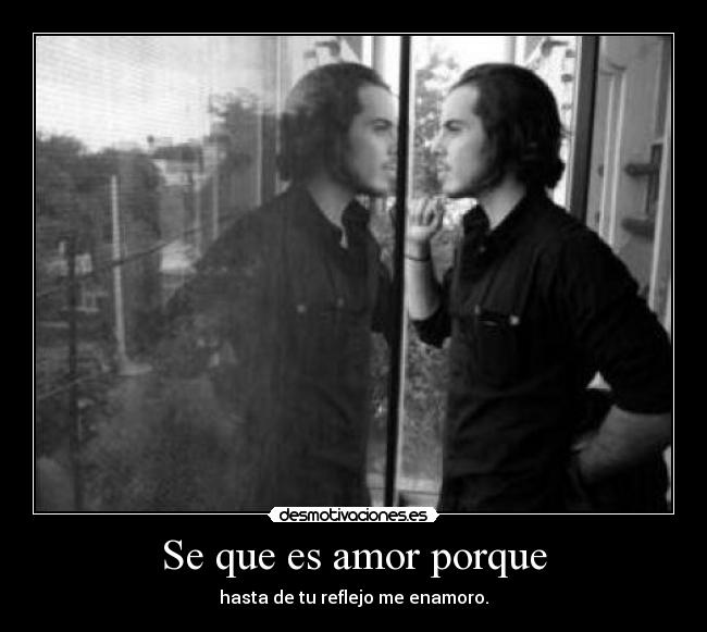 Se que es amor porque -