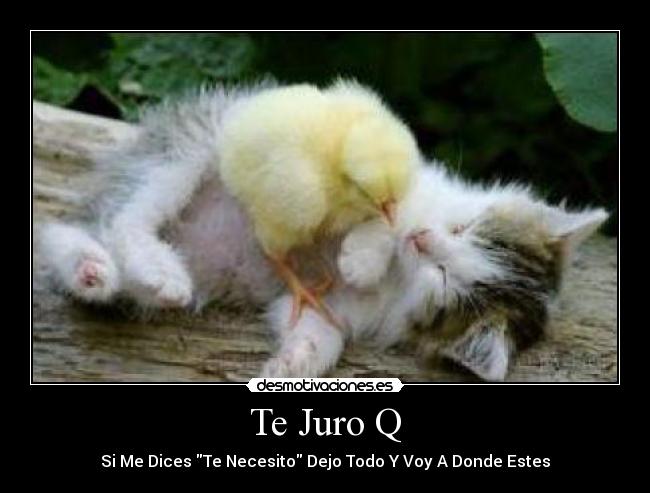 Te Juro Q - Si Me Dices Te Necesito Dejo Todo Y Voy A Donde Estes