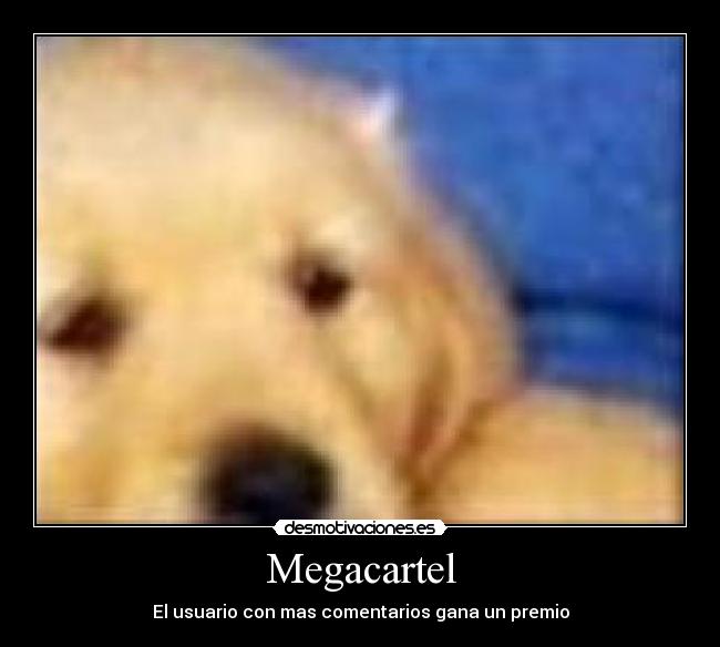 Megacartel - El usuario con mas comentarios gana un premio