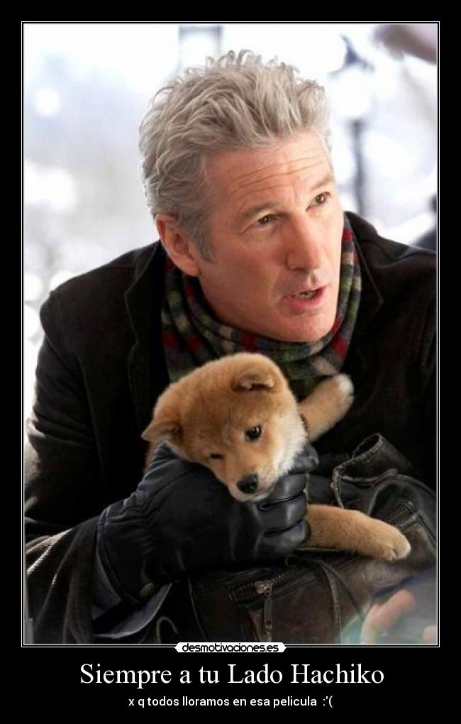 Siempre a tu Lado Hachiko - 