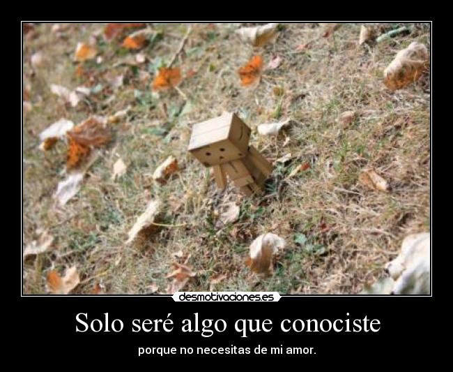 Solo seré algo que conociste -