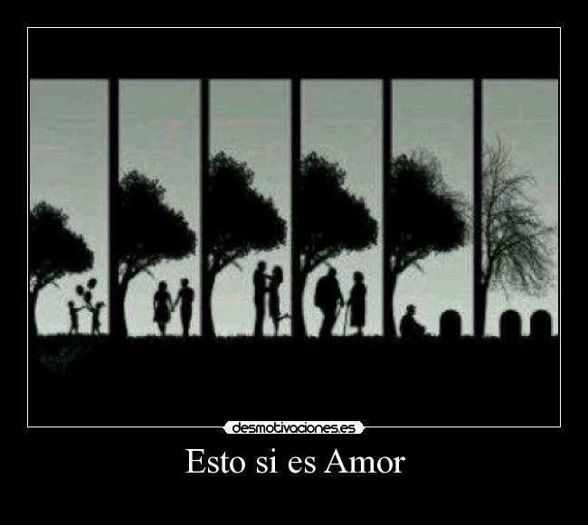 Esto si es Amor -
