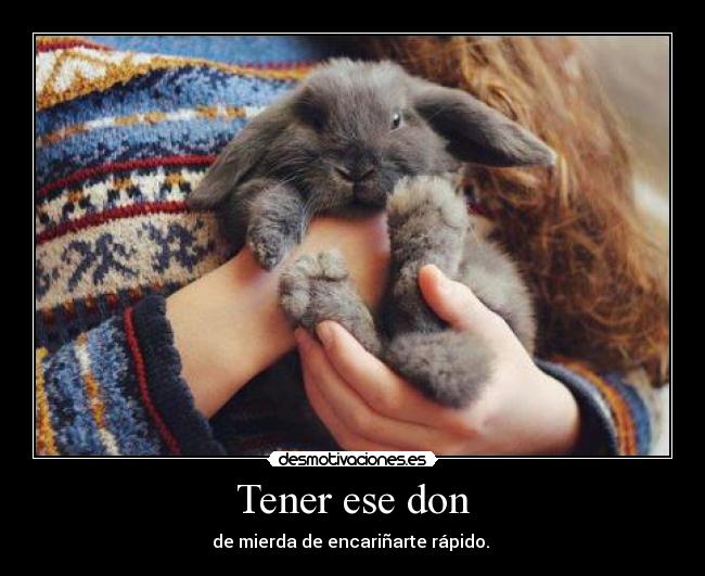 Tener ese don - de mierda de encariñarte rápido. ♥