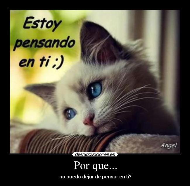 carteles sadgasmo desmotivaciones