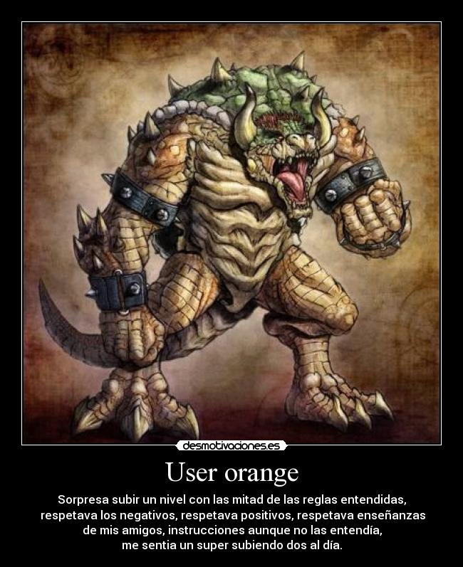 User orange - Sorpresa subir un nivel con las mitad de las reglas entendidas,
 respetava los negativos, respetava positivos, respetava enseñanzas
de mis amigos, instrucciones aunque no las entendía,
me sentia un super subiendo dos al día.