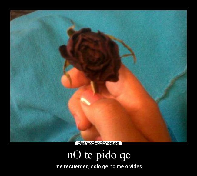 nO te pido qe - me recuerdes, solo qe no me olvides
